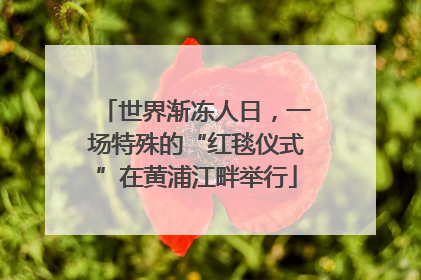 世界渐冻人日，一场特殊的“红毯仪式”在黄浦江畔举行