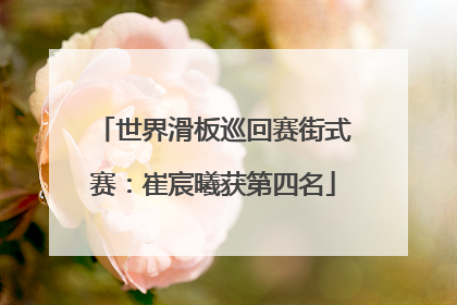 世界滑板巡回赛街式赛：崔宸曦获第四名
