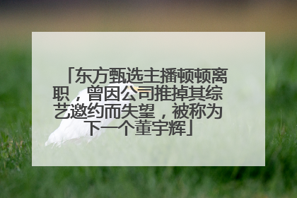 东方甄选主播顿顿离职，曾因公司推掉其综艺邀约而失望，被称为下一个董宇辉