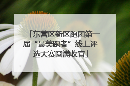 东营区新区跑团第一届“最美跑者”线上评选大赛圆满收官