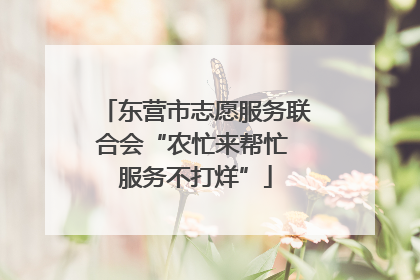 东营市志愿服务联合会“农忙来帮忙 服务不打烊”