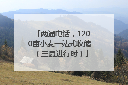 两通电话，1200亩小麦一站式收储（三夏进行时）