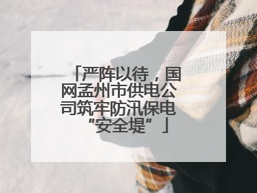 严阵以待，国网孟州市供电公司筑牢防汛保电“安全堤”