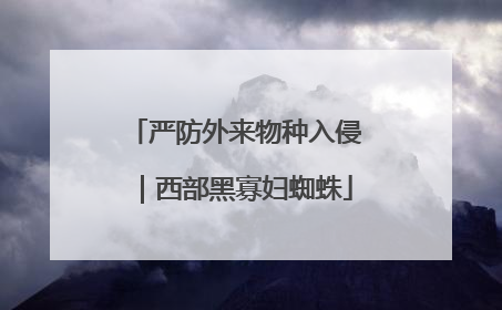 严防外来物种入侵｜西部黑寡妇蜘蛛
