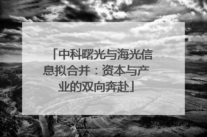 中科曙光与海光信息拟合并：资本与产业的双向奔赴