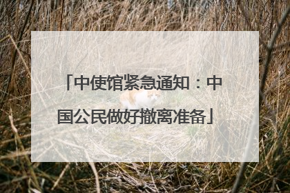 中使馆紧急通知：中国公民做好撤离准备