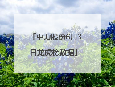 中力股份6月3日龙虎榜数据