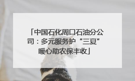 中国石化周口石油分公司：多元服务护“三夏” 暖心助农保丰收
