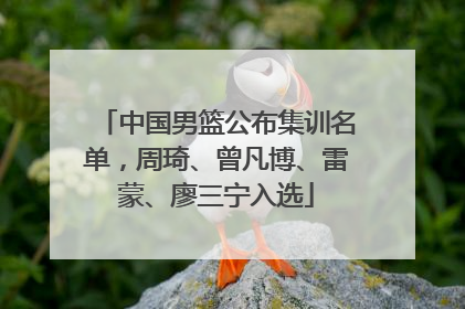 中国男篮公布集训名单，周琦、曾凡博、雷蒙、廖三宁入选
