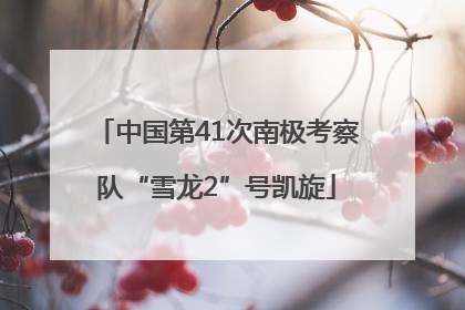 中国第41次南极考察队“雪龙2”号凯旋