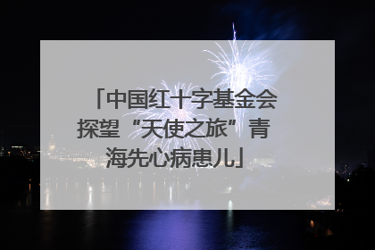 中国红十字基金会探望“天使之旅”青海先心病患儿