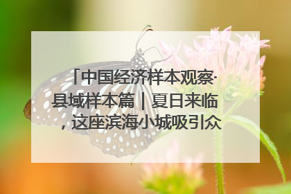 中国经济样本观察·县域样本篇｜夏日来临，这座滨海小城吸引众多年轻人打卡……