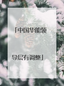 中国华能领导层有调整