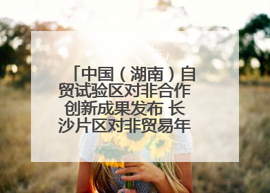 中国（湖南）自贸试验区对非合作创新成果发布 长沙片区对非贸易年均增长141%