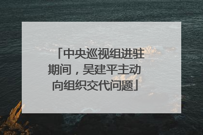 中央巡视组进驻期间，吴建平主动向组织交代问题