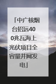 中广核烟台招远400兆瓦海上光伏项目全容量并网发电
