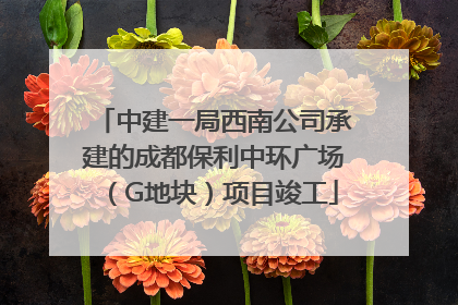 中建一局西南公司承建的成都保利中环广场（G地块）项目竣工