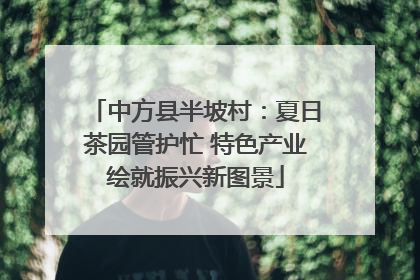 中方县半坡村：夏日茶园管护忙 特色产业绘就振兴新图景