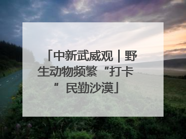 中新武威观｜野生动物频繁“打卡”民勤沙漠