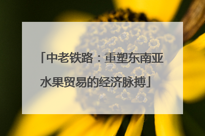 中老铁路：重塑东南亚水果贸易的经济脉搏