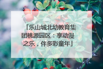 乐山城北幼教育集团桃源园区：享动漫之乐，伴多彩童年