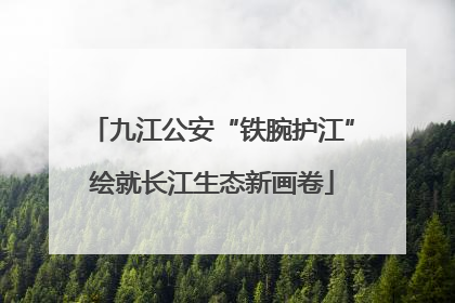 九江公安“铁腕护江”绘就长江生态新画卷