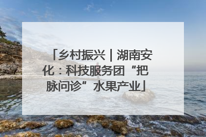 乡村振兴｜湖南安化：科技服务团“把脉问诊”水果产业