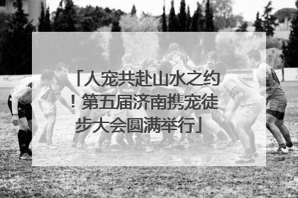 人宠共赴山水之约！第五届济南携宠徒步大会圆满举行