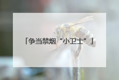 争当禁烟“小卫士”