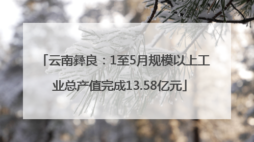 云南彝良：1至5月规模以上工业总产值完成13.58亿元