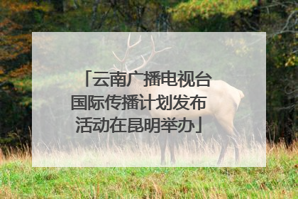 云南广播电视台国际传播计划发布活动在昆明举办