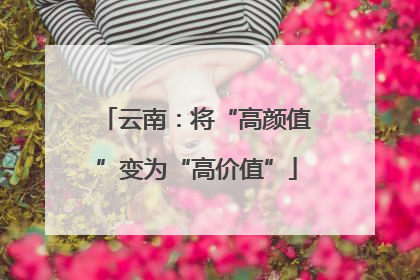 云南：将“高颜值”变为“高价值”