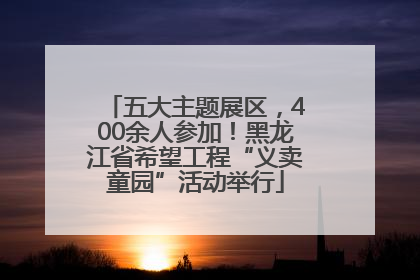 五大主题展区，400余人参加！黑龙江省希望工程“义卖童园”活动举行