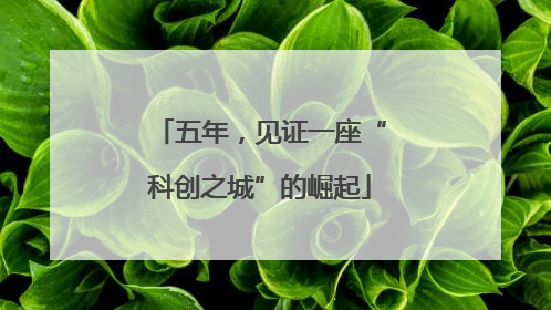 五年，见证一座“科创之城”的崛起