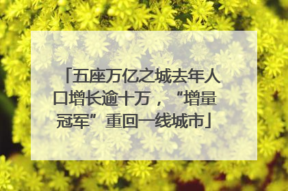 五座万亿之城去年人口增长逾十万，“增量冠军”重回一线城市