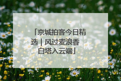 京城拍客今日精选｜风过麦浪香 白塔入云端