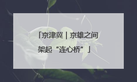京津冀｜京雄之间架起“连心桥”
