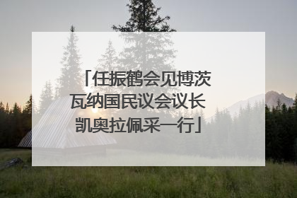 任振鹤会见博茨瓦纳国民议会议长凯奥拉佩采一行