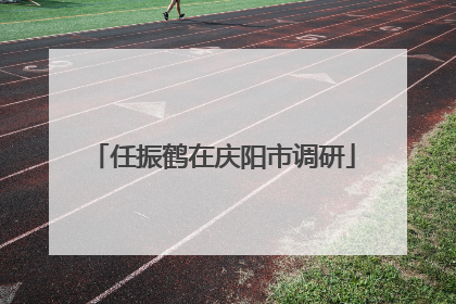 任振鹤在庆阳市调研