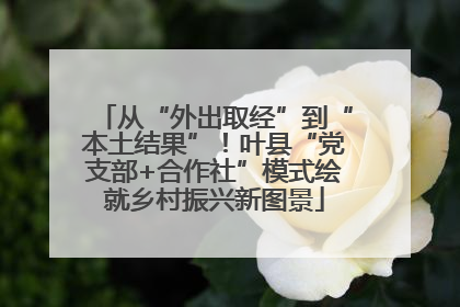 从“外出取经”到“本土结果”！叶县“党支部+合作社”模式绘就乡村振兴新图景
