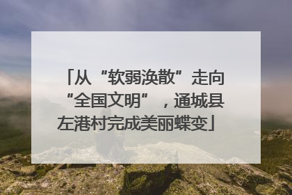 从“软弱涣散”走向“全国文明”，通城县左港村完成美丽蝶变