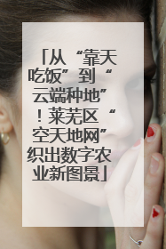 从“靠天吃饭”到“云端种地”！莱芜区“空天地网”织出数字农业新图景