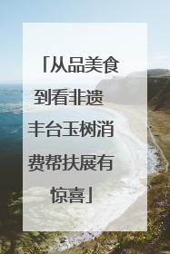 从品美食到看非遗 丰台玉树消费帮扶展有惊喜