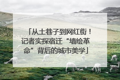 从土巷子到网红街！记者实探宿迁“墙绘革命”背后的城市美学