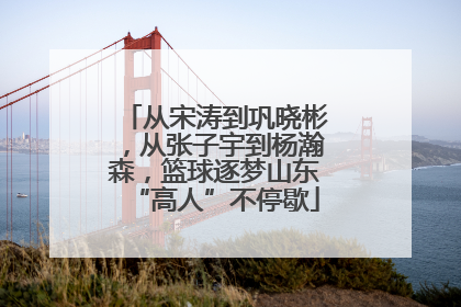 从宋涛到巩晓彬，从张子宇到杨瀚森，篮球逐梦山东“高人”不停歇