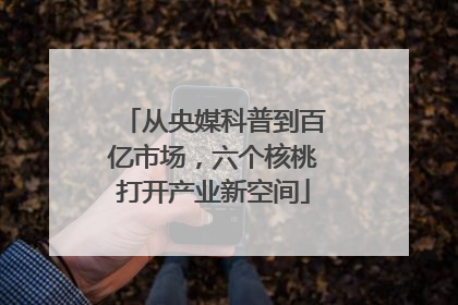 从央媒科普到百亿市场，六个核桃打开产业新空间