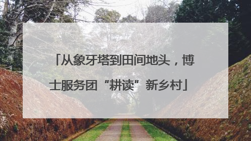从象牙塔到田间地头，博士服务团“耕读”新乡村