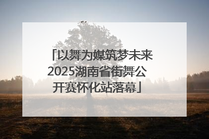 以舞为媒筑梦未来 2025湖南省街舞公开赛怀化站落幕