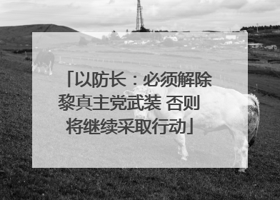 以防长：必须解除黎真主党武装 否则将继续采取行动