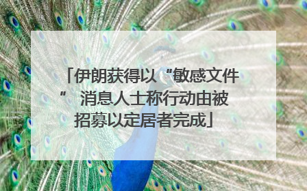 伊朗获得以“敏感文件” 消息人士称行动由被招募以定居者完成